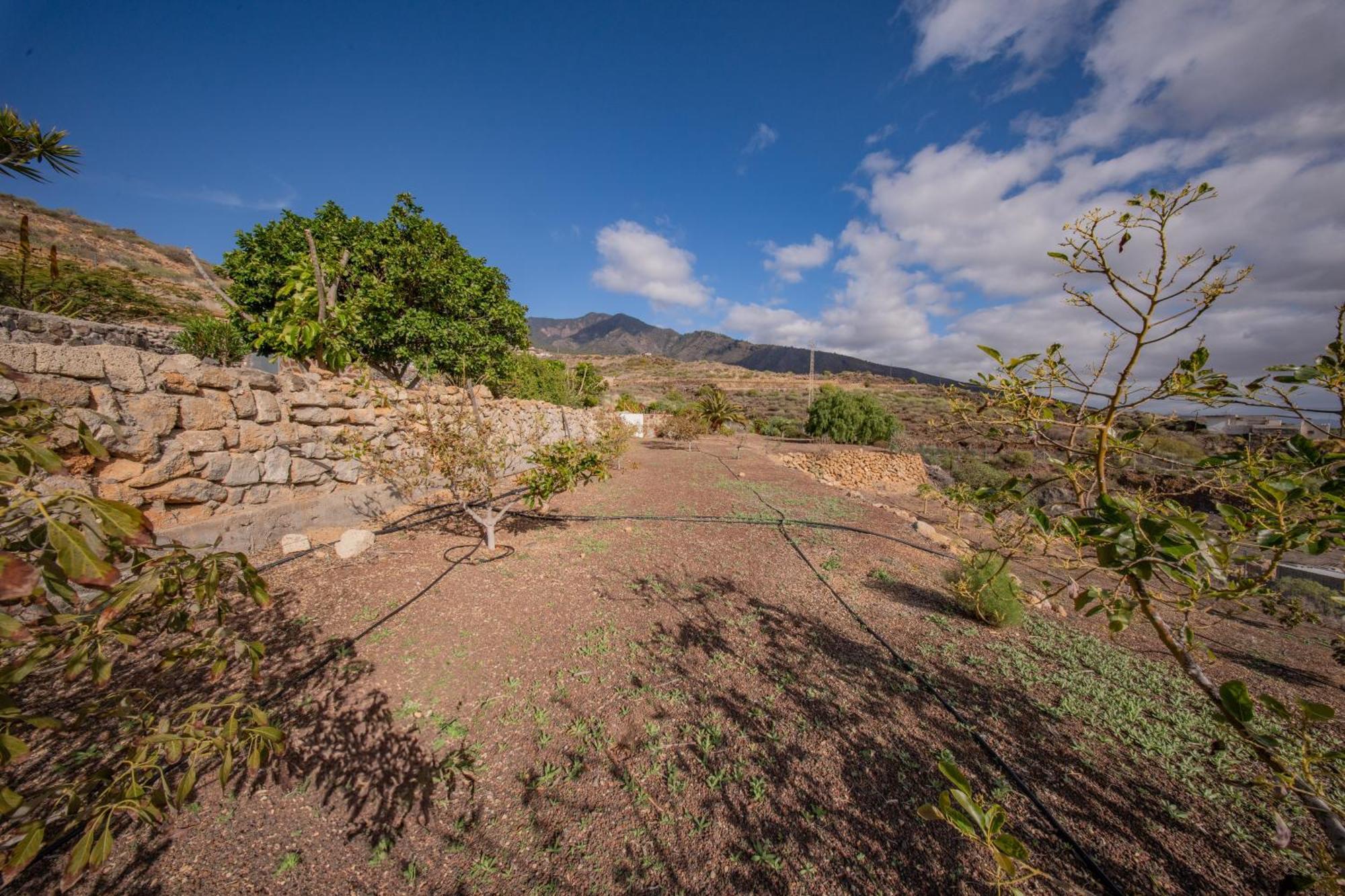 Casa Rural Buda Terra 산타크루스데 테네리페 외부 사진