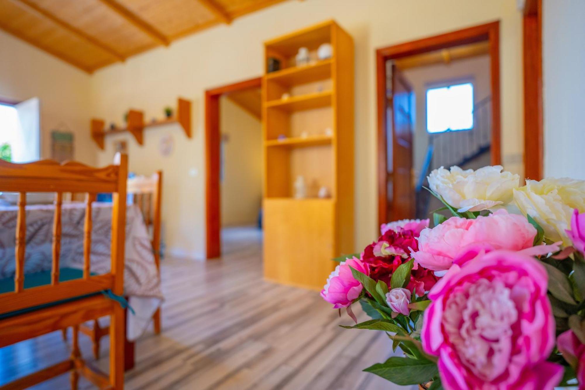 Casa Rural Buda Terra 산타크루스데 테네리페 외부 사진