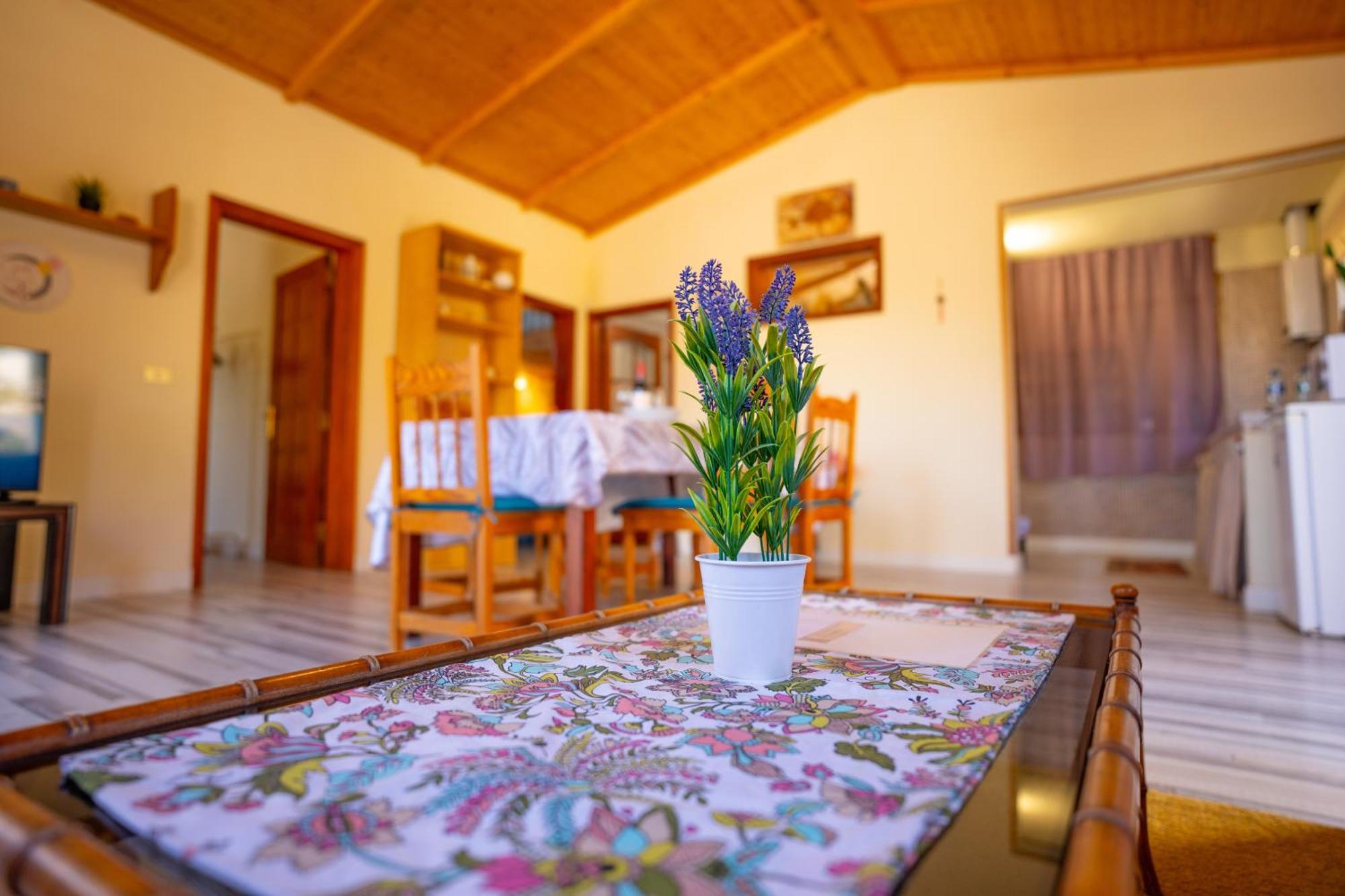 Casa Rural Buda Terra 산타크루스데 테네리페 외부 사진